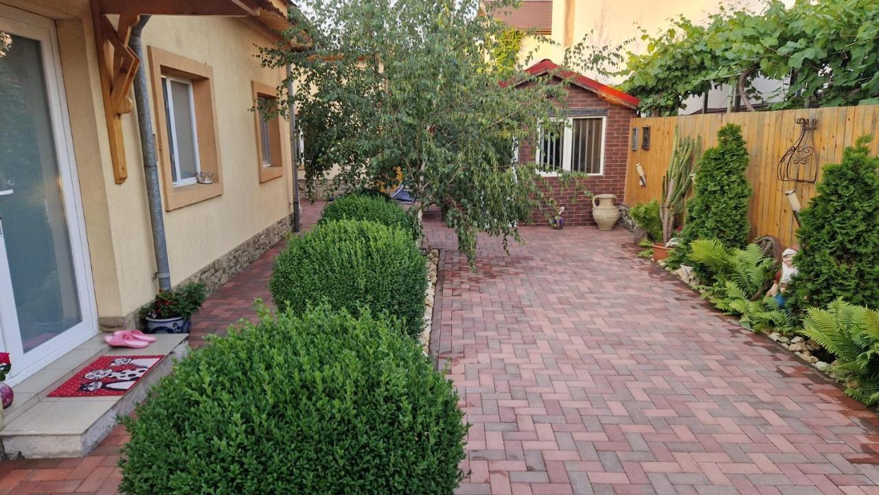 Casa Teo Hotel Buzau Exterior photo